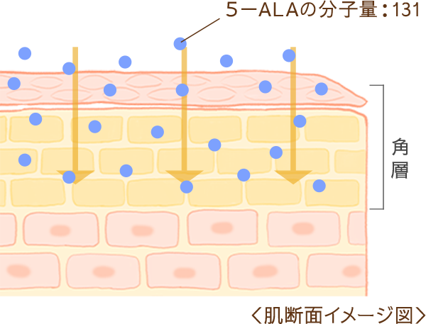 ABOUT 5-ALA ｜ ALAVITA｜アラヴィータ スキンケア 公式サイト